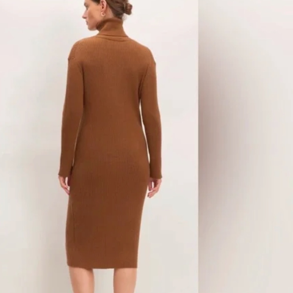 Everlane M Burnt Orange Camel Cotton Wool Turtleneck Dress